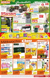 Hella Angebot & Preis im aktuellen Norma Prospekt Hella Angebot im aktuellen Norma Prospekt auf Seite 13