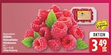 Heimatliebe Himbeeren Kl. I von EDEKA für 3,49 € bei EDEKA im Angebot Heimatliebe Himbeeren Kl. I von EDEKA im aktuellen EDEKA Prospekt