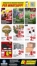 Rindenmulch Angebote im Prospekt "BESTPREISE DER WOCHE!" von B1 Discount Baumarkt auf Seite 12