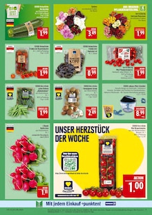 Zucchini im Marktkauf Prospekt "AUSWAHL RIESIG, PREISE NIEDRIG" mit 68 Seiten (Nürnberg)