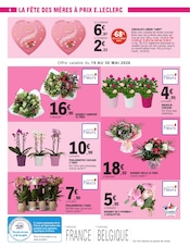 Promos Orchidée dans le catalogue "Un peu, beaucoup, passionnément… mais à prix E.Leclerc !" de E.Leclerc Orchidée en promo dans le catalogue E.Leclerc à la page 4