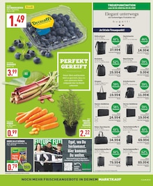 Kleidung im Marktkauf Prospekt "Aktuelle Angebote" mit 16 Seiten (Dortmund)