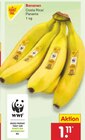 Bananen im Angebot bei Netto Marken-Discount in Weimar Bananen Angebote von Markttag bei Netto Marken-Discount Weimar für 1,11 €