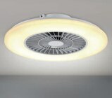 Deckenleuchte mit Ventilator im toom Baumarkt Prospekt Deckenleuchte mit Ventilator von toom im aktuellen toom Baumarkt Prospekt für 79,99 €