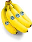 Aktuelle Bananen Angebote bei Netto Marken-Discount in Mannheim Aktuelles Bananen Angebot bei Netto Marken-Discount in Mannheim ab 1,75 €