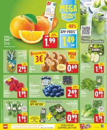 Tulpen Angebot im EDEKA Prospekt, gültig von 12.10.2026 bis 17.10.2026 Tulpen Angebot im aktuellen EDEKA Prospekt auf Seite 3
