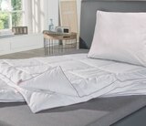 Aktuelles Serie Cotton Kopfkissen Angebot bei Matratzen Concord in Duisburg ab 19,90 €
