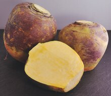 K+K - Klaas & Kock Selm - Steckrüben Steckrüben Angebot bei K+K - Klaas & Kock Selm im Prospekt "Spitze!"