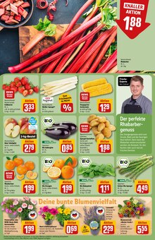 Erdbeeren im REWE Prospekt "Dein Markt" mit 32 Seiten (Offenbach (Main))