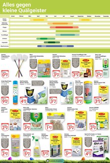 Lavendel im GLOBUS Prospekt "Aktuelle Angebote" mit 29 Seiten (Duisburg)