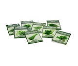 Tchibo im Supermarkt - 8 Kräuterklassiker Angebot im Prospekt 8 Kräuterklassiker bei Tchibo im Supermarkt im Prospekt "" für 4,99 €