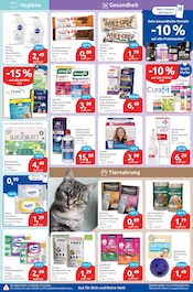 Ähnliche Hoggar Night Angebote im Prospekt "drogeriemarkt" von budni Ähnliches Angebot bei budni in Prospekt "drogeriemarkt" gefunden auf Seite 5