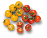 Aktuelle Tomaten Angebote bei Kaufland in Saarbrücken Aktuelles Dtsch. Cherryrispentomaten, gelb oder rot Angebot bei Kaufland in Saarbrücken ab 1,99 €