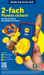 Lidl Treuepunkte im Prospekt 