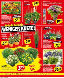 Repo Prospekt der Woche "Aktuelle Angebote" Seite 2, 23.06.2025 bis 28.06.2025 für Anklam Aktueller Repo Prospekt "Aktuelle Angebote" Seite 2 von 12 Seiten für Anklam