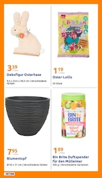 Action Abfalleimer im Prospekt 