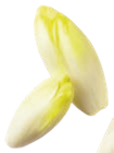 Endives - Aldi Endives à 1,89 € dans le catalogue Aldi