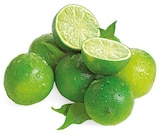 Bio Limette Angebote von REWE Bio bei REWE Jena für 0,39 €