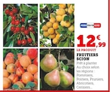 Promo Fruitier Scion à 12,99 € dans le catalogue Super U à Sisteron