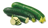 Aktuelle Zucchini Angebote bei Netto mit dem Scottie in Dresden Aktuelles Zucchini Angebot bei Netto mit dem Scottie in Dresden ab 0,79 €