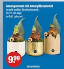Arrangement mit Amarylliszwiebel für 9,99 € bei V-Markt im Angebot Arrangement mit Amarylliszwiebel im aktuellen V-Markt Prospekt