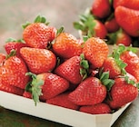 Intermarché Super Épinal - Promo Fraise Ronde Promo Fraise Ronde à 2,99 € dans le catalogue Intermarché Super à Épinal