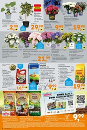 Gartenerde im Globus-Baumarkt Prospekt in Göttingen Aktueller Globus-Baumarkt Prospekt mit Gartenerde, "Immer eine Idee besser", Seite 8