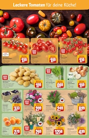 Deko im REWE Prospekt in Hildesheim Aktueller REWE Prospekt mit Deko, "Dein Markt", Seite 7
