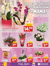Aktueller Netto Marken-Discount Prospekt mit Pflanzen, "Aktuelle Angebote", Seite 16