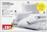Aktuelles Kopfkissen Angebot bei E center in Mannheim ab 19,95 €
