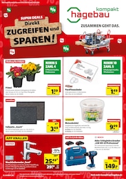 hagebau kompakt Prospekt für Ichenhausen: "SUPER DEALS", 8 Seiten, 07.02.2026 - 14.02.2026