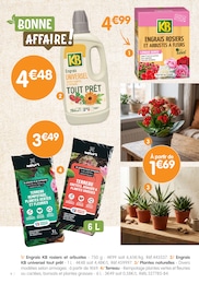 Offre Arbuste dans le catalogue B&M du moment à la page 4