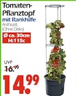 Tomaten-Pflanztopf mit Rankhilfe bei Wreesmann im Czorneboh Prospekt für 14,99 €