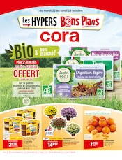 Chrysanthèmes Angebote im Prospekt "Bio & bon marché !" von Cora auf Seite 1