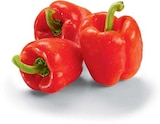 Aktuelle Paprika Angebote bei Netto Marken-Discount in Heidelberg Aktuelles Paprika rot Angebot bei Netto Marken-Discount in Heidelberg ab 1,49 €