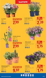 Parfum Angebote im Prospekt "Fan de l'été" von Lidl auf Seite 29