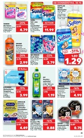 Aktueller Kaufland Prospekt mit Gartengeräte, "RICHTIG FRISCH", Seite 45