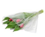 Tulpen Angebote bei Marktkauf Wismar für 1,99 €