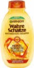 Wahre Schätze im Angebot bei Netto Marken-Discount in Suhl Wahre Schätze Angebote von Garnier bei Netto Marken-Discount Suhl für 1,99 €