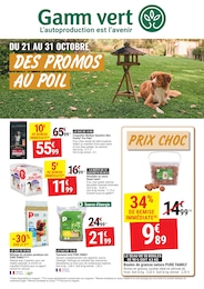 Prospectus Gamm vert à Saint-Palais, "DES PROMOS AU POIL", 4 pages, 21/10/2026 - 31/10/2026