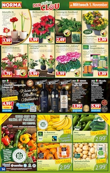 Bananen im aktuellen Norma Prospekt (Heidelberg) Bananen im Norma Prospekt "Mehr fĂĽrs Geld" mit 20 Seiten (Heidelberg)