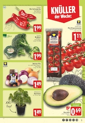 Aktueller EDEKA Prospekt mit Kräuter, "Aktuelle Angebote", Seite 3