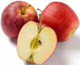 Aktuelles Tafeläpfel Elstar Angebot bei GLOBUS in Halle (Saale)