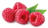 Himbeeren Angebote bei REWE Köln für 3,49 €