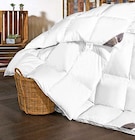 3-Kammerkissen im Angebot bei porta Möbel in Hofheim 3-Kammerkissen Angebote von Künsemüller bei porta Möbel Hofheim für 89,99 €