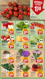 Aktueller REWE Prospekt mit Hortensie, "Dein Markt", Seite 9