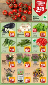 Blumen im aktuellen REWE Prospekt (Wiesbaden) Blumen im REWE Prospekt "Dein Markt" mit 25 Seiten (Wiesbaden)