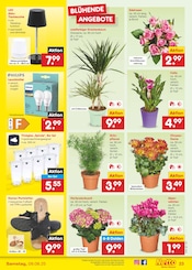 Bekleidung im Netto Marken-Discount Prospekt in Bayreuth Aktueller Netto Marken-Discount Prospekt mit Bekleidung, "Aktuelle Angebote", Seite 35