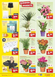 Bekleidung im Netto Marken-Discount Prospekt "Aktuelle Angebote" mit 57 Seiten (Nürnberg)
