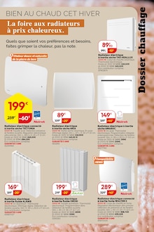 Promotion Radiateur Électrique dans le prospectus Weldom, valable du 15/10/2025 au 11/11/2025 Promo Radiateur Électrique dans le catalogue Weldom du moment à la page 3